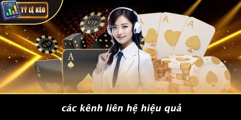 Liên hệ