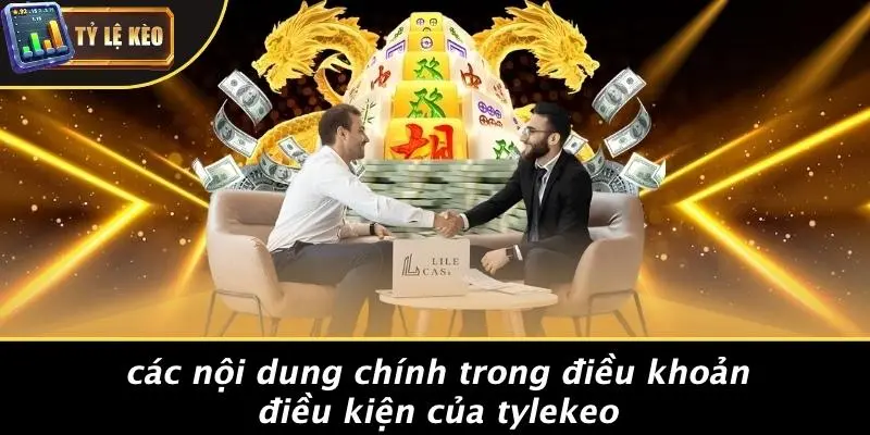 điều khoản điều kiện