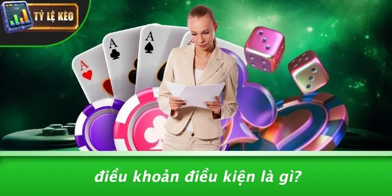 điều khoản điều kiện