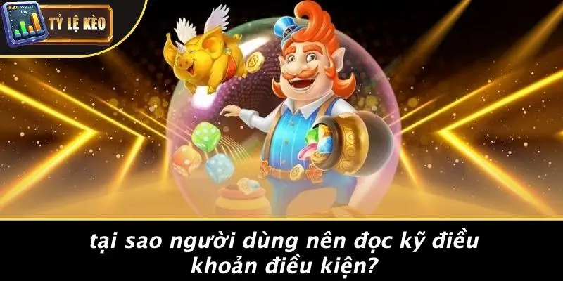 điều khoản điều kiện