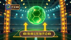 Kèo tài xỉu 3.75 hiệp 2: Hướng dẫn chi tiết và chiến thuật soi kèo từ chuyên gia